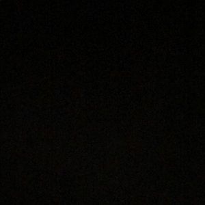 Meet your Posher, Logan